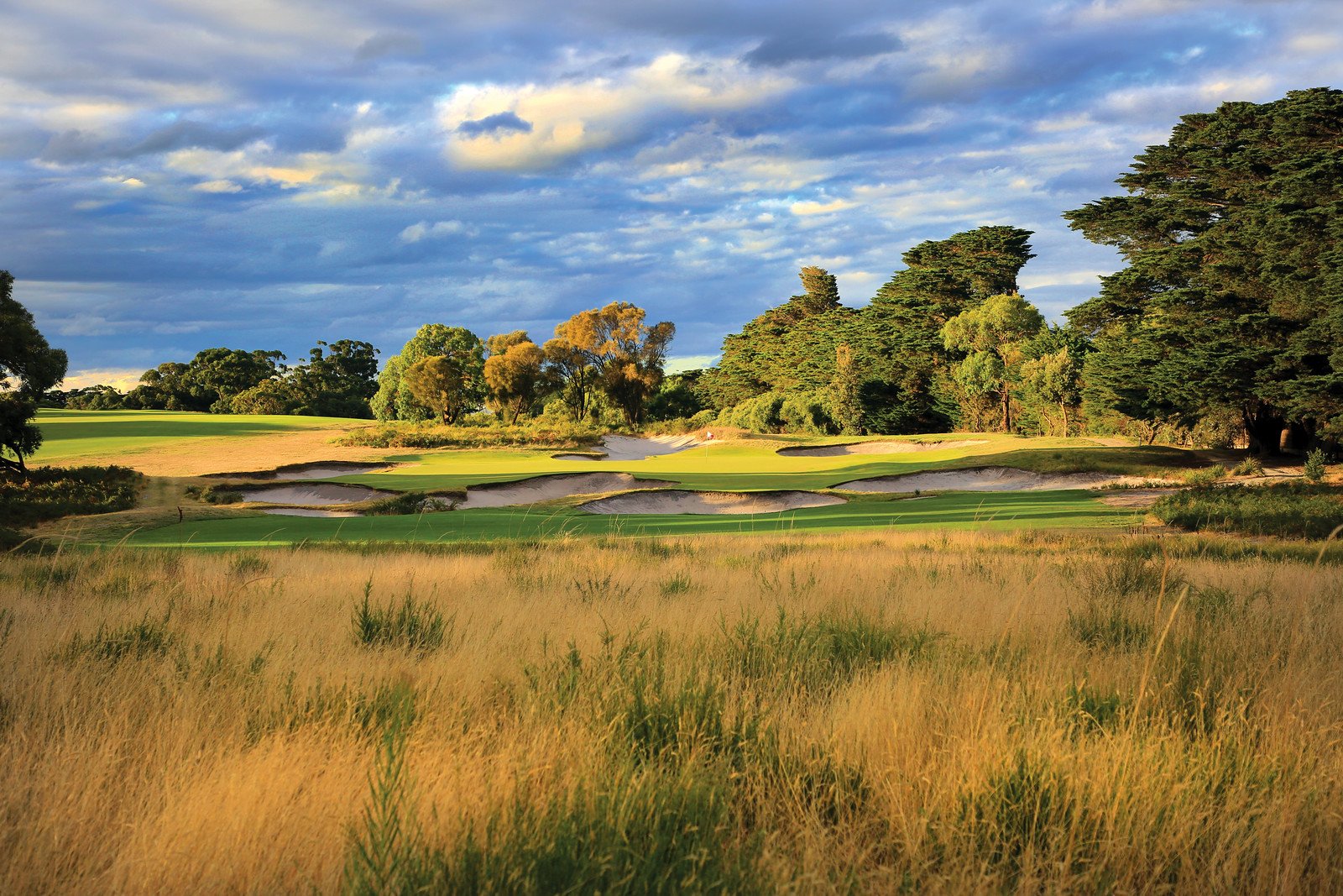 The 16th tee at Royal Melbourne (East Course), Melbourne Sandbelt — the book cover, photographed by Gary Lisbon